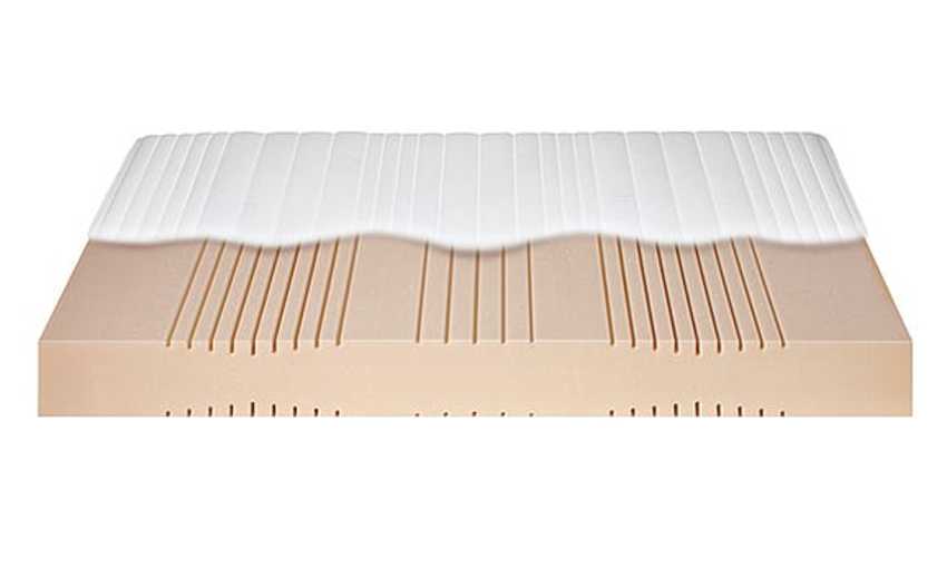 Schlaraffia Gigant 500